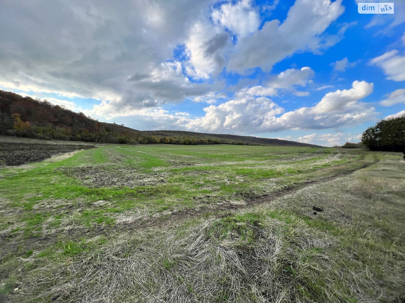 Аренда земли сельскохозяйственного назначения в Ширяеве, цена: 18 418 грн за объект фото 1 Аренда земли сельскохозяйственного назначения в Ширяеве, цена: 18 418 грн за объект фото 1