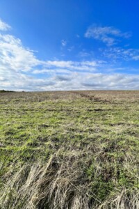 Аренда земли сельскохозяйственного назначения в Ширяеве, цена: 12 880 грн за объект фото 1 Аренда земли сельскохозяйственного назначения в Ширяеве, цена: 12 880 грн за объект фото 1
