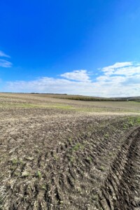 Аренда земли сельскохозяйственного назначения в Ширяеве, цена: 32 113 грн за объект фото 1 Аренда земли сельскохозяйственного назначения в Ширяеве, цена: 32 113 грн за объект фото 1