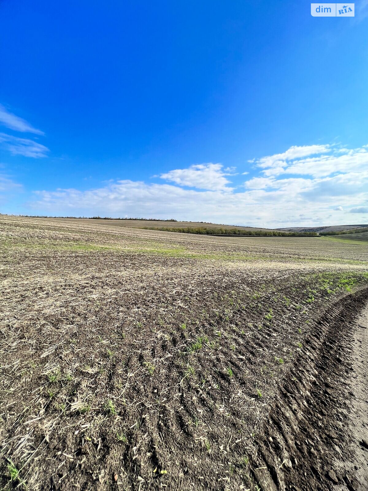 Аренда земли сельскохозяйственного назначения в Ширяеве, цена: 32 113 грн за объект фото 1 Аренда земли сельскохозяйственного назначения в Ширяеве, цена: 32 113 грн за объект фото 1