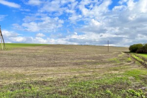Аренда земли сельскохозяйственного назначения в Ширяеве, цена: 20 746 грн за объект фото 1