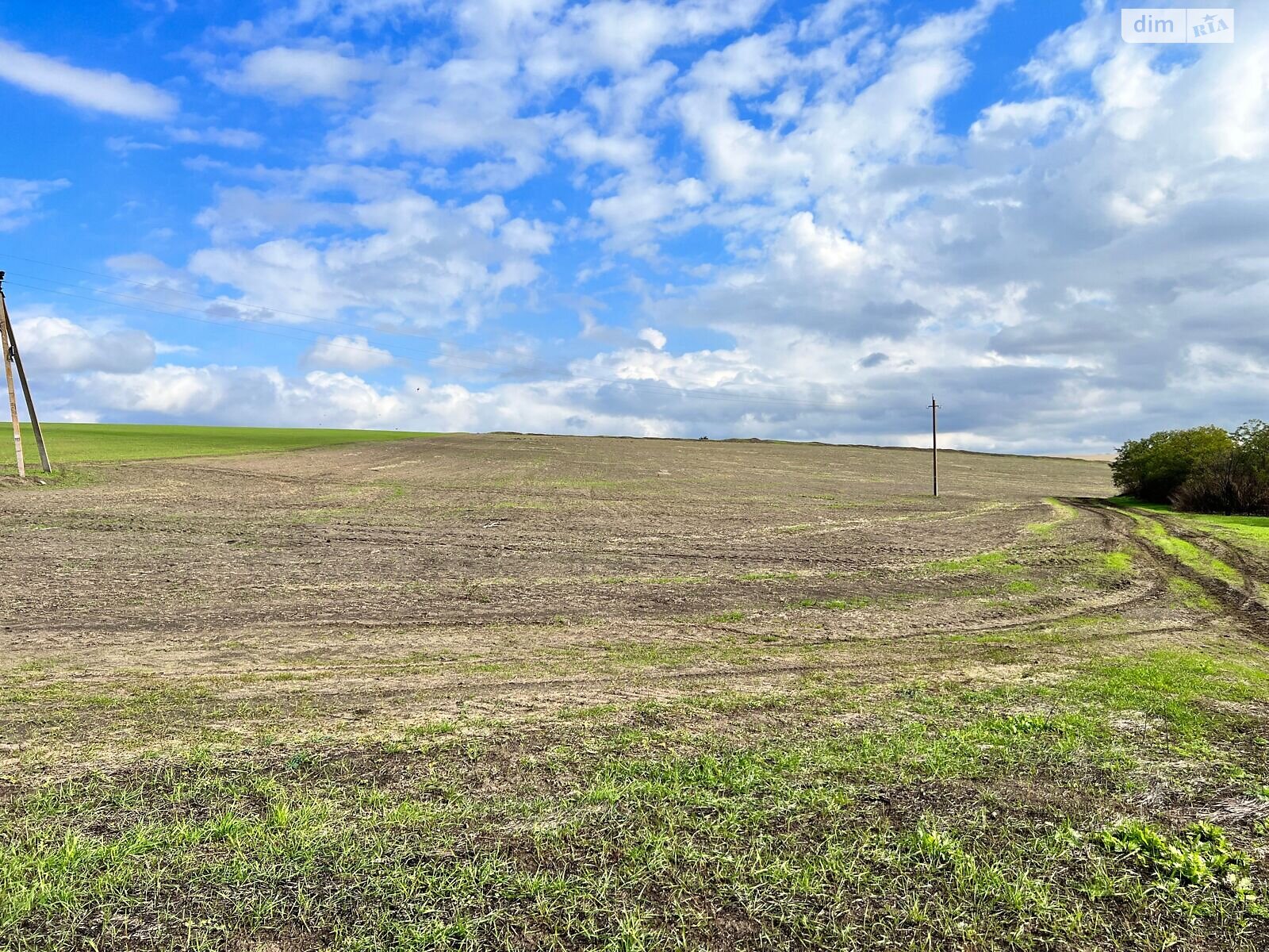 Аренда земли сельскохозяйственного назначения в Ширяеве, цена: 20 746 грн за объект фото 1