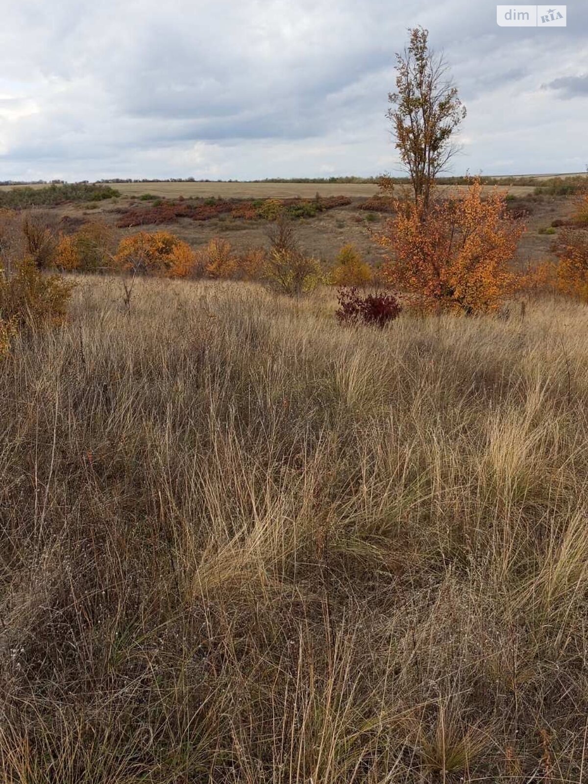 Аренда земли сельскохозяйственного назначения в Ширяеве, цена: 78 616 грн за объект фото 1 Аренда земли сельскохозяйственного назначения в Ширяеве, цена: 78 616 грн за объект фото 1