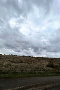 Аренда земли сельскохозяйственного назначения в Ширяеве, цена: 60 475 грн за объект фото 1 Аренда земли сельскохозяйственного назначения в Ширяеве, цена: 60 475 грн за объект фото 1