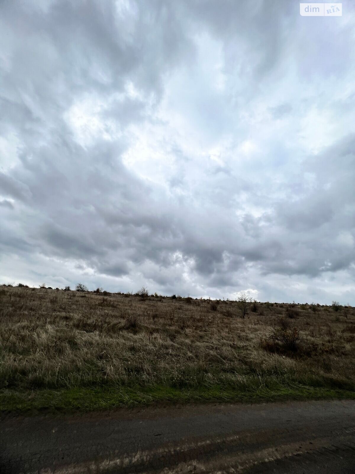 Аренда земли сельскохозяйственного назначения в Ширяеве, цена: 60 475 грн за объект фото 1 Аренда земли сельскохозяйственного назначения в Ширяеве, цена: 60 475 грн за объект фото 1