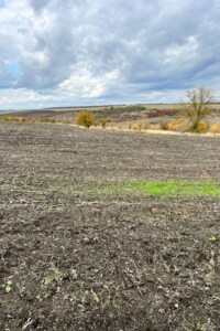 Оренда землі сільськогосподарського призначення в Ширяєві, ціна: 71 037 грн за об’єкт фото 1 Оренда землі сільськогосподарського призначення в Ширяєві, ціна: 71 037 грн за об’єкт фото 1