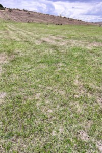 Аренда земли сельскохозяйственного назначения в Ширяеве, цена: 75 072 грн за объект фото 1 Аренда земли сельскохозяйственного назначения в Ширяеве, цена: 75 072 грн за объект фото 1