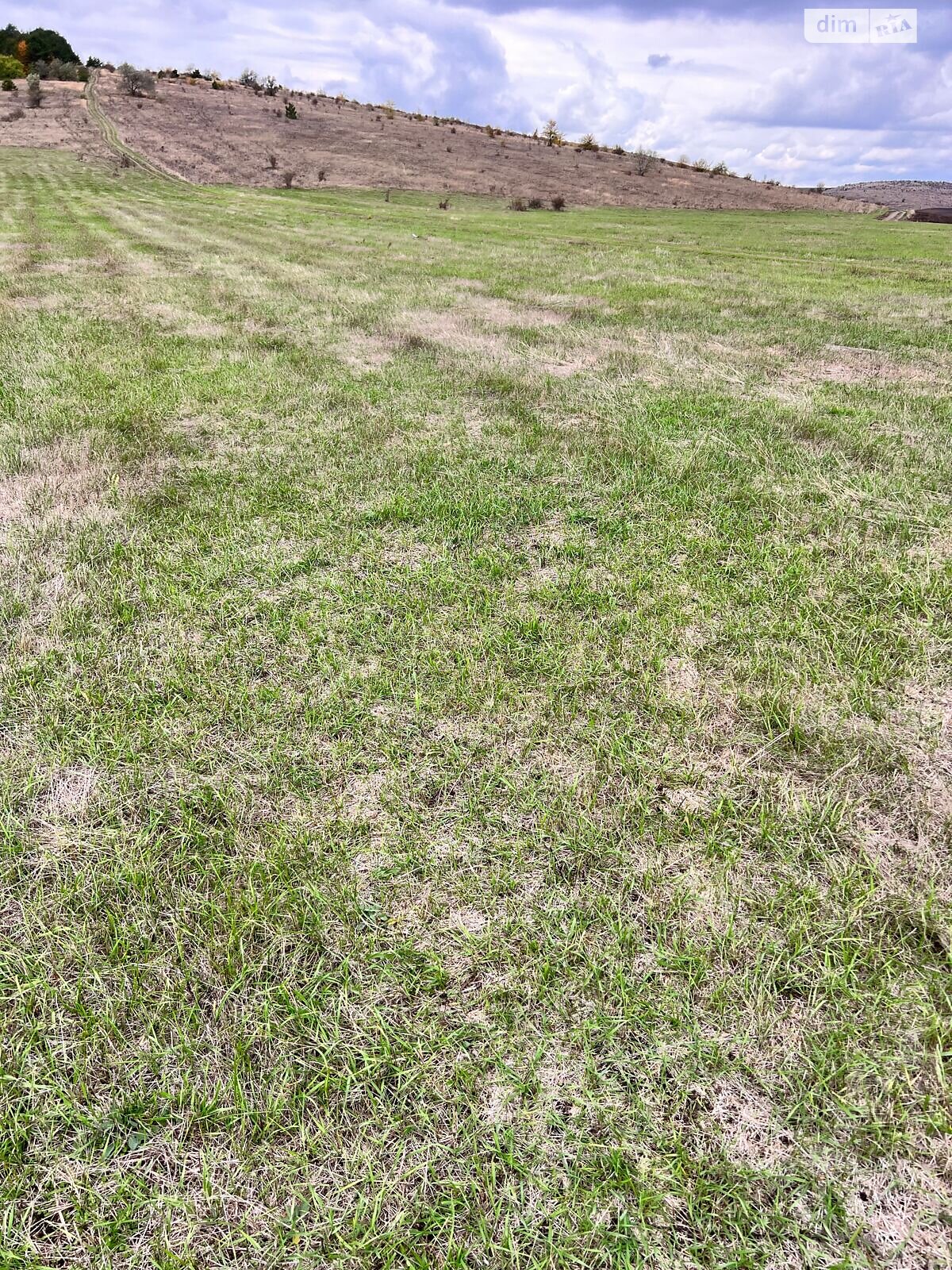 Аренда земли сельскохозяйственного назначения в Ширяеве, цена: 75 072 грн за объект фото 1 Аренда земли сельскохозяйственного назначения в Ширяеве, цена: 75 072 грн за объект фото 1