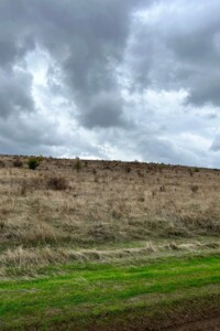 Аренда земли сельскохозяйственного назначения в Ширяеве, цена: 63 287 грн за объект фото 1 Аренда земли сельскохозяйственного назначения в Ширяеве, цена: 63 287 грн за объект фото 1