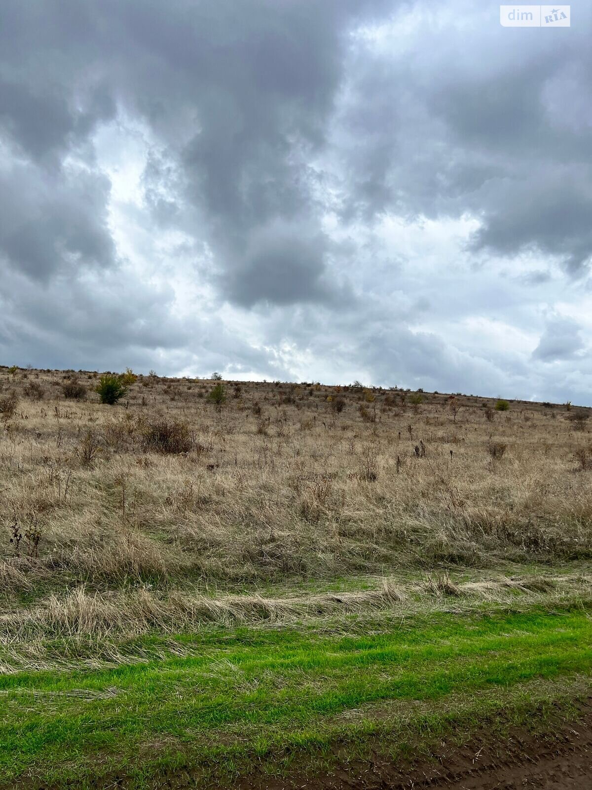 Аренда земли сельскохозяйственного назначения в Ширяеве, цена: 63 287 грн за объект фото 1 Аренда земли сельскохозяйственного назначения в Ширяеве, цена: 63 287 грн за объект фото 1