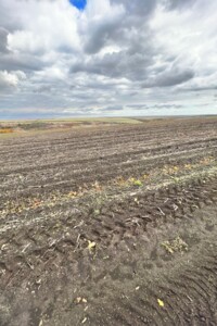 Аренда земли сельскохозяйственного назначения в Ширяеве, цена: 63 581 грн за объект фото 1 Аренда земли сельскохозяйственного назначения в Ширяеве, цена: 63 581 грн за объект фото 1