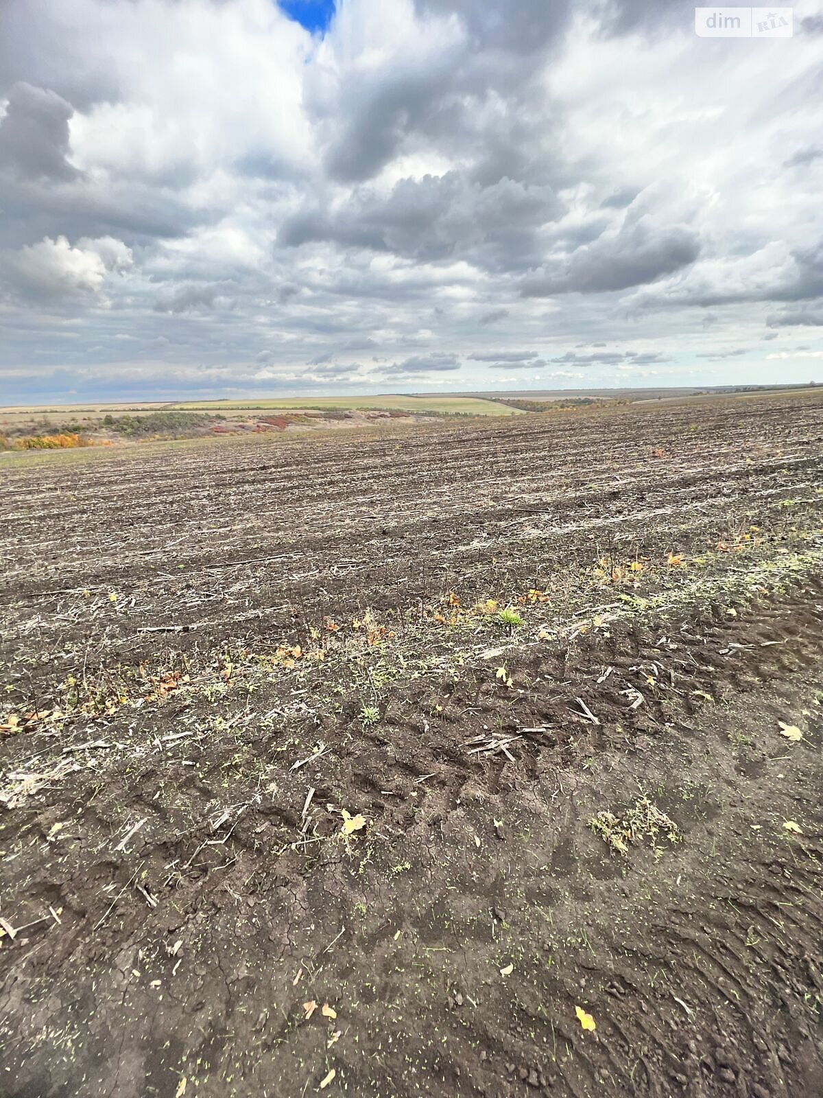 Аренда земли сельскохозяйственного назначения в Ширяеве, цена: 63 581 грн за объект фото 1 Аренда земли сельскохозяйственного назначения в Ширяеве, цена: 63 581 грн за объект фото 1