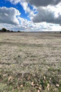 Аренда земли сельскохозяйственного назначения в Ширяеве, цена: 23 971 грн за объект фото 1