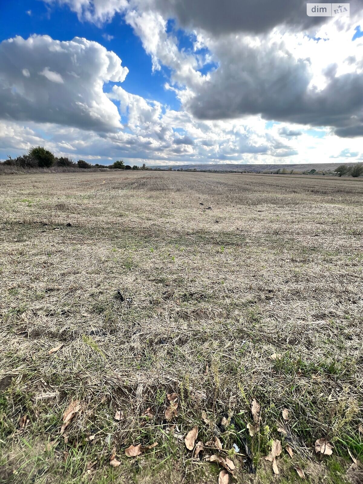 Аренда земли сельскохозяйственного назначения в Ширяеве, цена: 23 971 грн за объект фото 1