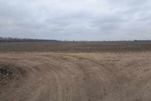 Оренда землі сільськогосподарського призначення в Шостакове, ціна: 20 997 грн за об’єкт фото 1