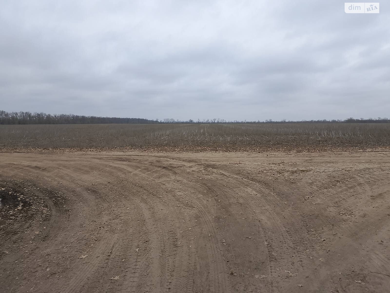 Оренда землі сільськогосподарського призначення в Шостакове, ціна: 20 997 грн за об’єкт фото 1 Оренда землі сільськогосподарського призначення в Шостакове, ціна: 20 997 грн за об’єкт фото 1