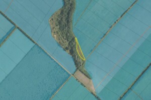 Оренда землі сільськогосподарського призначення в Слобідці, ціна: 1 379 грн за об’єкт фото 1