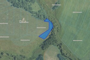 Оренда землі сільськогосподарського призначення в Слобідці, ціна: 790 грн за об’єкт фото 1