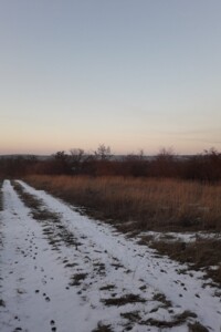 Аренда земли сельскохозяйственного назначения в Смеле, цена: 54 159 грн за объект фото 2 Аренда земли сельскохозяйственного назначения в Смеле, цена: 54 159 грн за объект фото 2