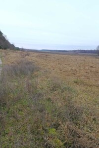 Оренда землі сільськогосподарського призначення в Соболівці, ціна: 20 606 грн за об’єкт фото 1