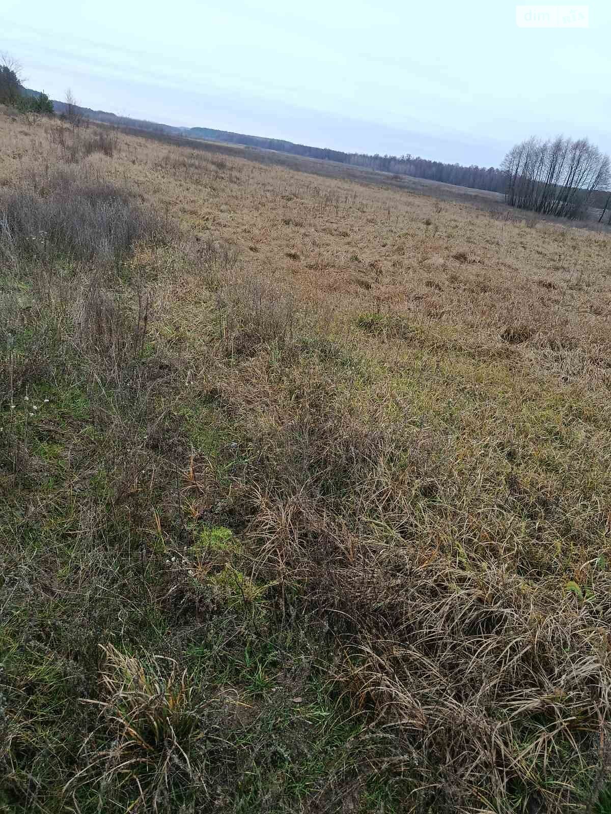 Оренда землі сільськогосподарського призначення в Соболівці, ціна: 20 606 грн за об’єкт фото 1