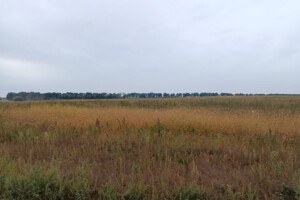 Оренда землі сільськогосподарського призначення в Соболівці, ціна: 19 862 грн за об’єкт фото 1 Оренда землі сільськогосподарського призначення в Соболівці, ціна: 19 862 грн за об’єкт фото 1