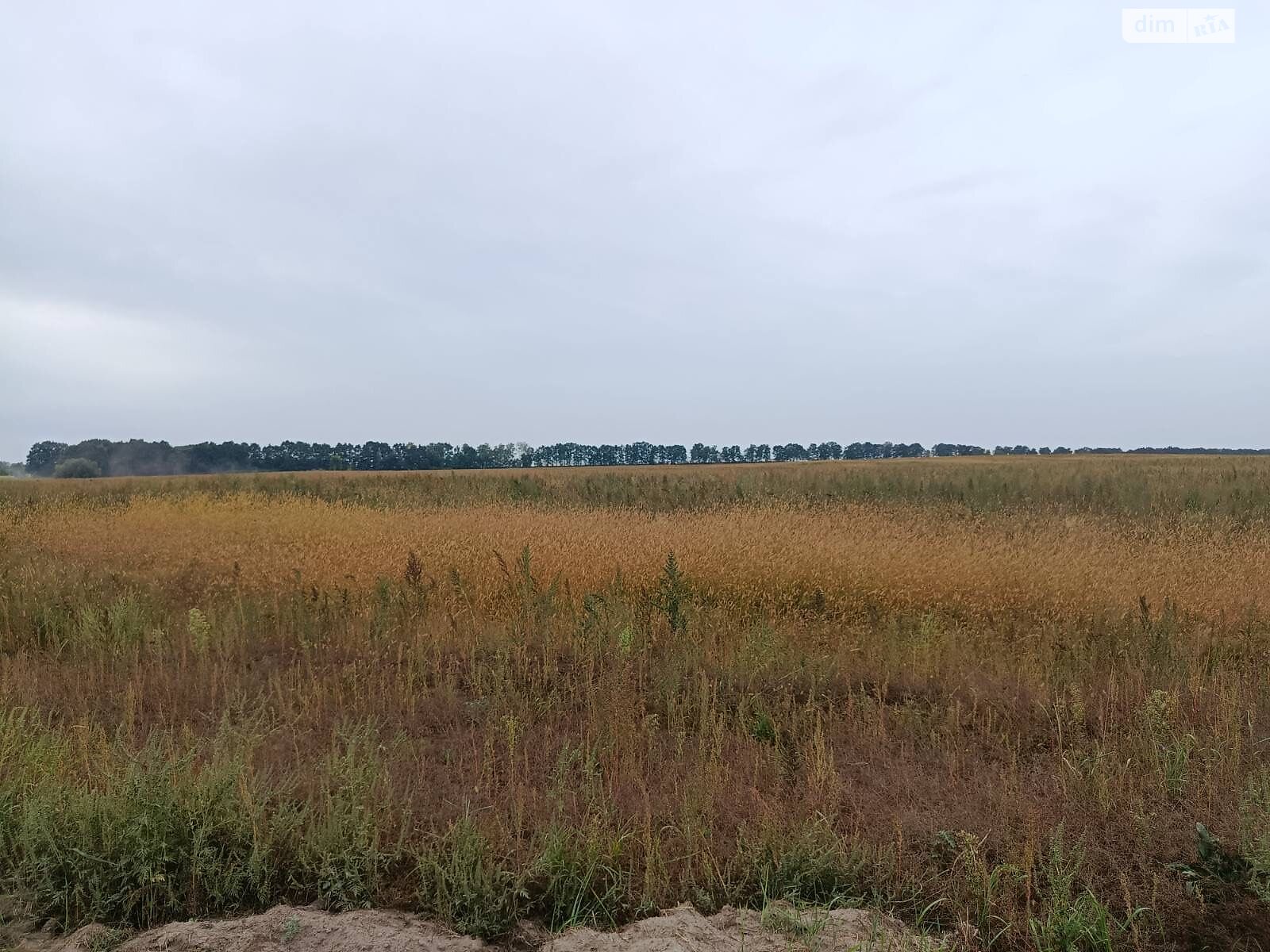 Оренда землі сільськогосподарського призначення в Соболівці, ціна: 19 862 грн за об’єкт фото 1 Оренда землі сільськогосподарського призначення в Соболівці, ціна: 19 862 грн за об’єкт фото 1