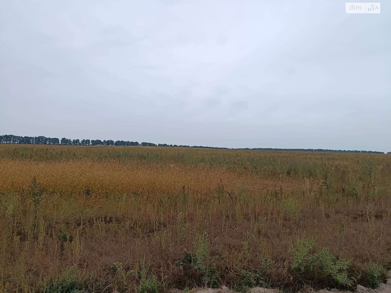 Оренда землі сільськогосподарського призначення в Соболівці, ціна: 19 862 грн за об’єкт фото 1 Оренда землі сільськогосподарського призначення в Соболівці, ціна: 19 862 грн за об’єкт фото 1