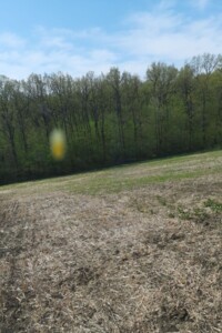 Оренда землі сільськогосподарського призначення в Соколі, ціна: 4 255 грн за об’єкт фото 1