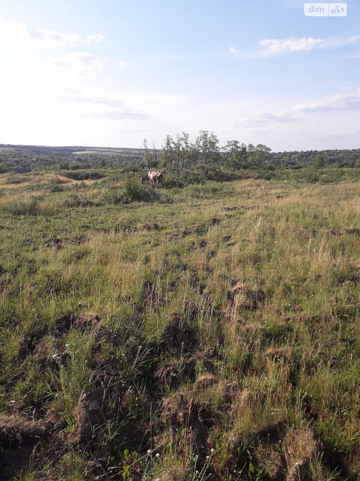 Аренда земли сельскохозяйственного назначения в Соколе, цена: 2 910 грн за объект фото 1