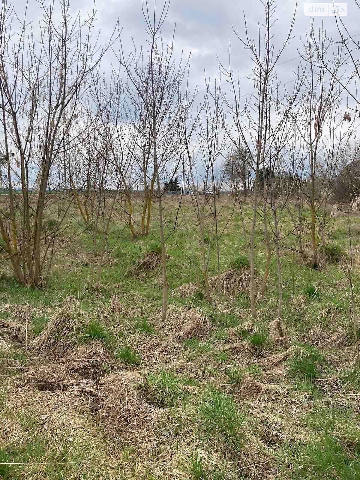 Оренда землі сільськогосподарського призначення в Соколеві, ціна: 4 182 грн за об’єкт фото 1