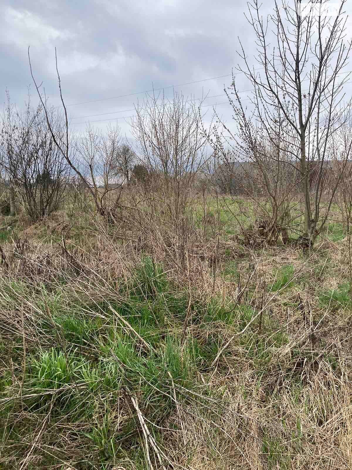 Оренда землі сільськогосподарського призначення в Соколеві, ціна: 4 182 грн за об’єкт фото 1