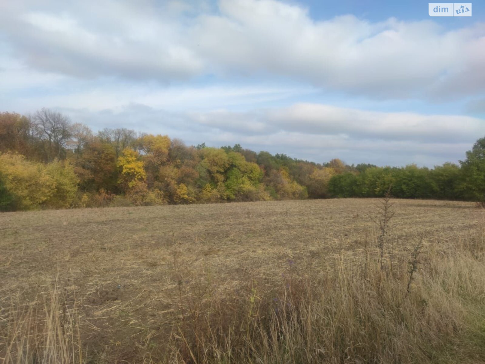 Оренда землі сільськогосподарського призначення в Становий, ціна: 2 742 грн за об’єкт фото 1 Оренда землі сільськогосподарського призначення в Становий, ціна: 2 742 грн за об’єкт фото 1