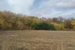 Оренда землі сільськогосподарського призначення в Становий, ціна: 2 742 грн за об’єкт фото 2