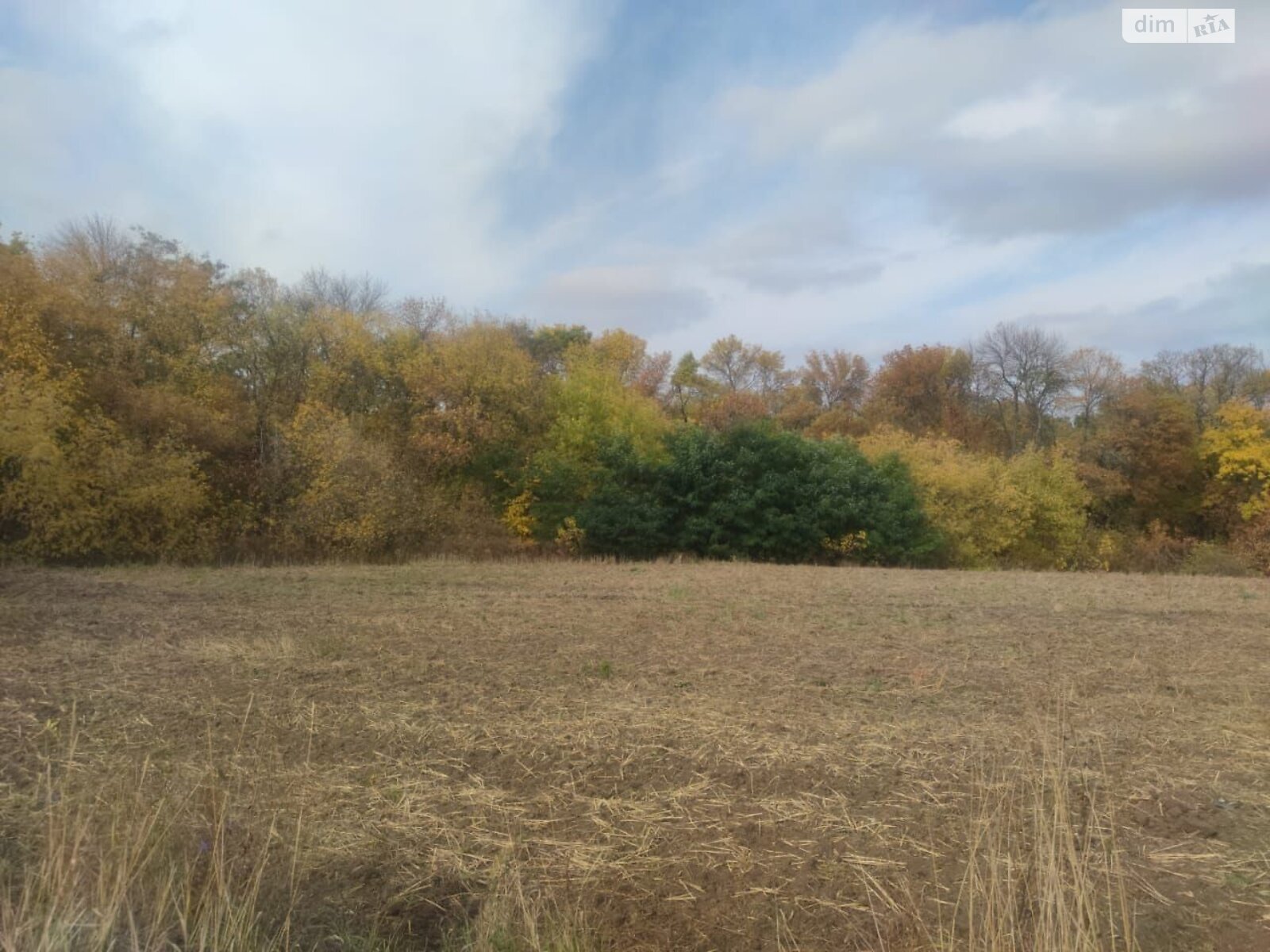 Оренда землі сільськогосподарського призначення в Становий, ціна: 2 742 грн за об’єкт фото 1 Оренда землі сільськогосподарського призначення в Становий, ціна: 2 742 грн за об’єкт фото 1