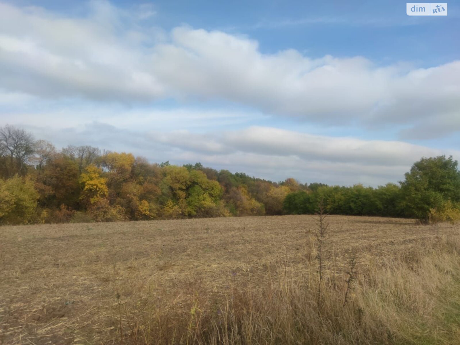 Оренда землі сільськогосподарського призначення в Становий, ціна: 2 742 грн за об’єкт фото 1 Оренда землі сільськогосподарського призначення в Становий, ціна: 2 742 грн за об’єкт фото 1