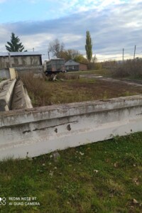 Оренда землі сільськогосподарського призначення в Старій Синяві, ціна: 41 грн за об’єкт фото 1