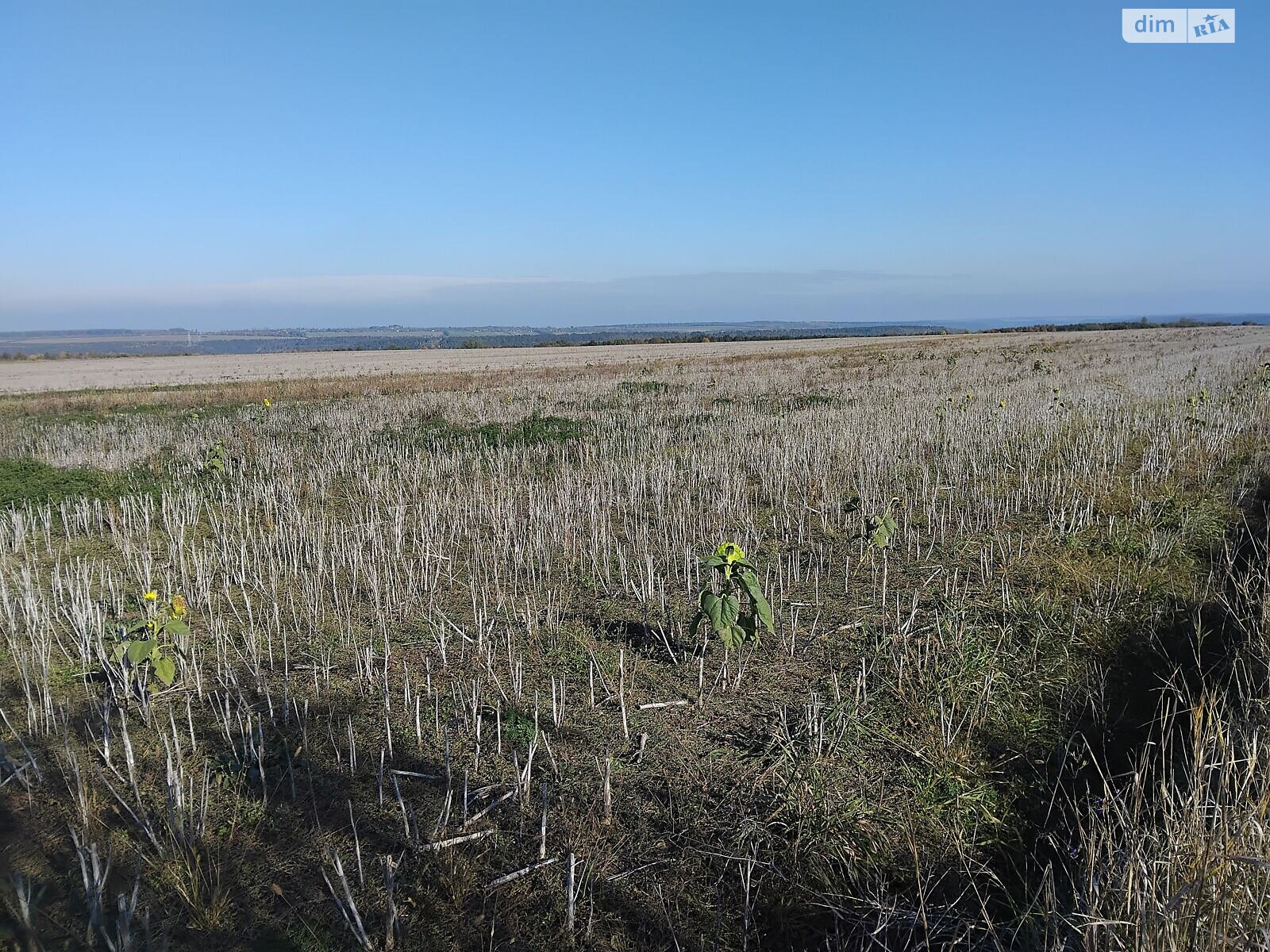 Аренда земли сельскохозяйственного назначения в Старой Ушице, цена: 87 297 грн за объект фото 1 Аренда земли сельскохозяйственного назначения в Старой Ушице, цена: 87 297 грн за объект фото 1