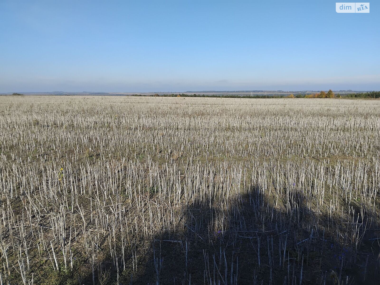 Аренда земли сельскохозяйственного назначения в Старой Ушице, цена: 87 297 грн за объект фото 1 Аренда земли сельскохозяйственного назначения в Старой Ушице, цена: 87 297 грн за объект фото 1