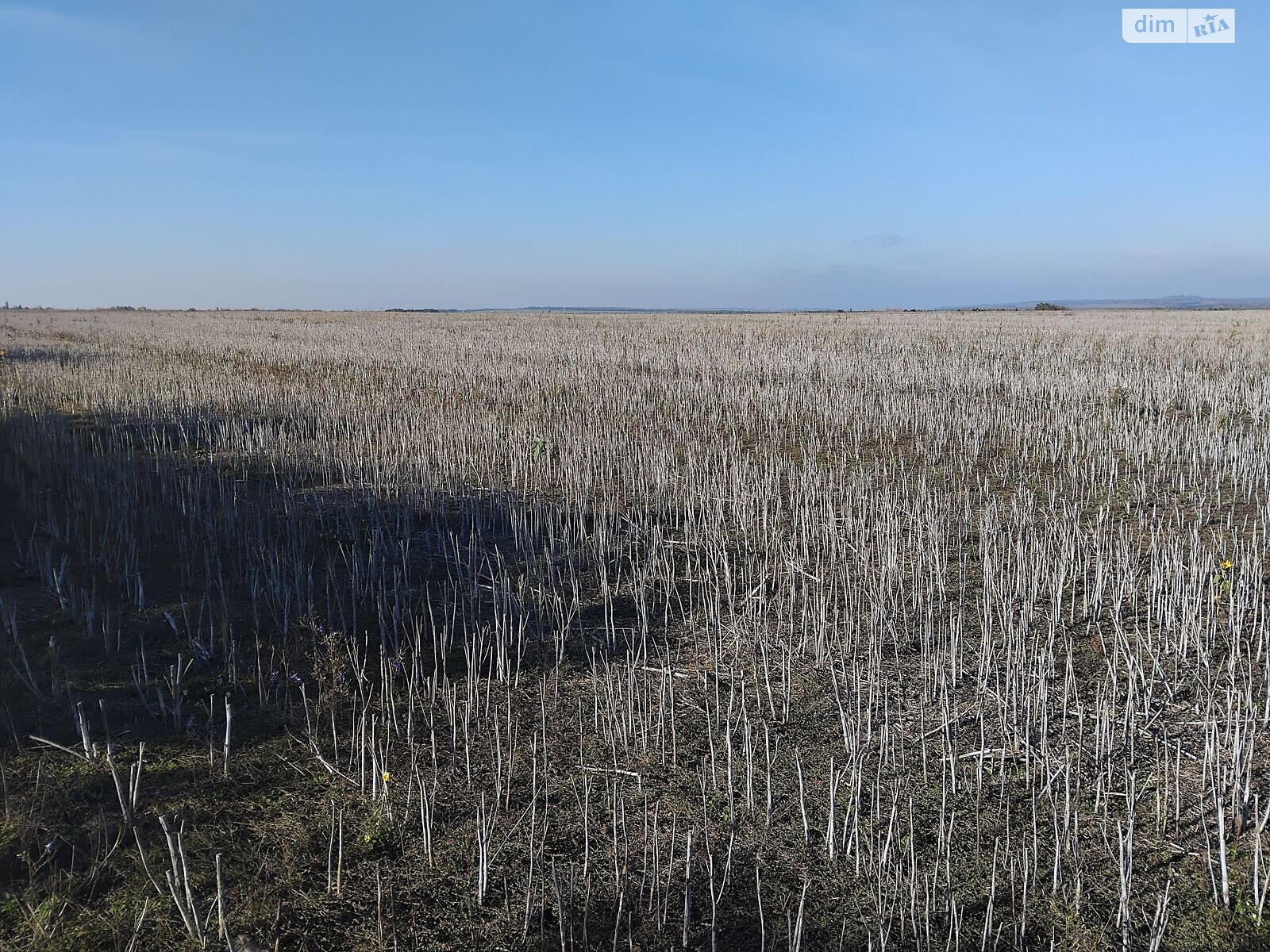 Аренда земли сельскохозяйственного назначения в Старой Ушице, цена: 87 297 грн за объект фото 1 Аренда земли сельскохозяйственного назначения в Старой Ушице, цена: 87 297 грн за объект фото 1