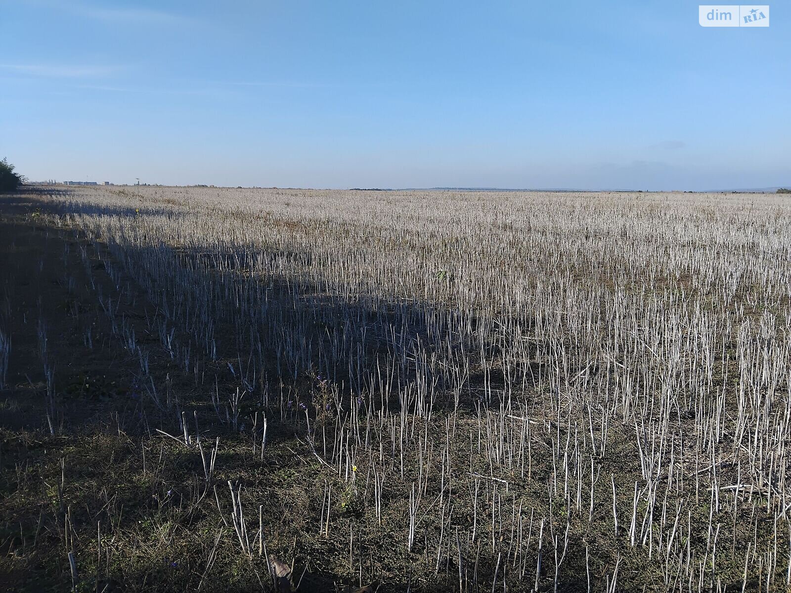 Аренда земли сельскохозяйственного назначения в Старой Ушице, цена: 87 297 грн за объект фото 1 Аренда земли сельскохозяйственного назначения в Старой Ушице, цена: 87 297 грн за объект фото 1