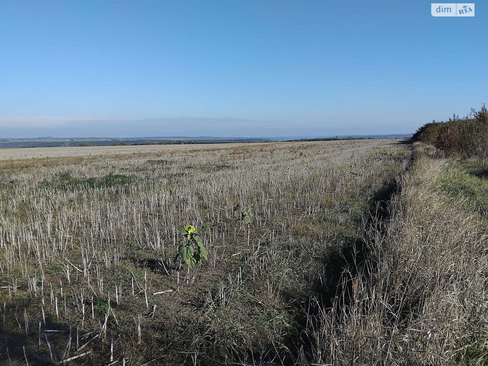 Аренда земли сельскохозяйственного назначения в Старой Ушице, цена: 87 297 грн за объект фото 1 Аренда земли сельскохозяйственного назначения в Старой Ушице, цена: 87 297 грн за объект фото 1