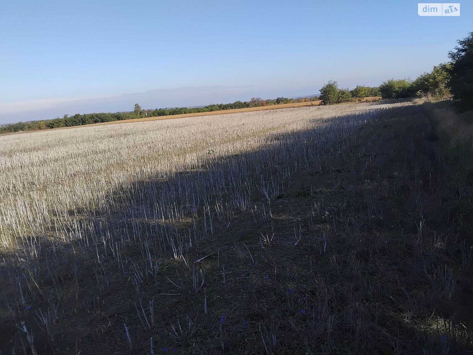 Аренда земли сельскохозяйственного назначения в Старой Ушице, цена: 81 338 грн за объект фото 1
