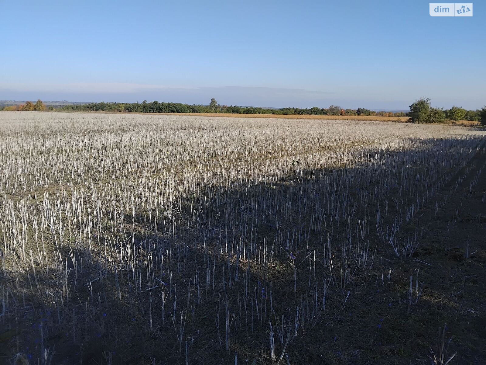 Аренда земли сельскохозяйственного назначения в Старой Ушице, цена: 81 338 грн за объект фото 1