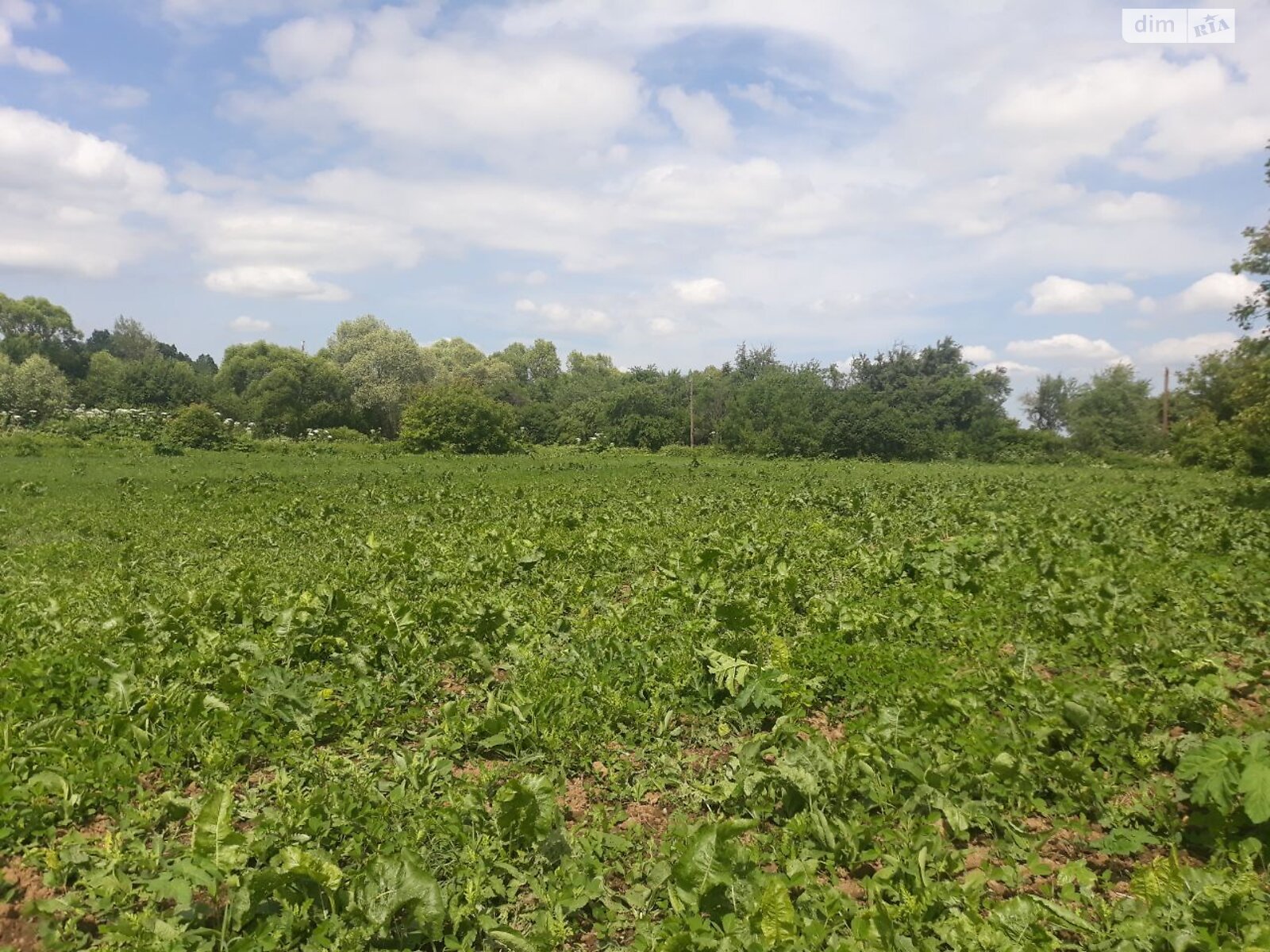 Аренда земли сельскохозяйственного назначения в Старых Богородчанах, цена: 1 158 грн за объект фото 1 Аренда земли сельскохозяйственного назначения в Старых Богородчанах, цена: 1 158 грн за объект фото 1