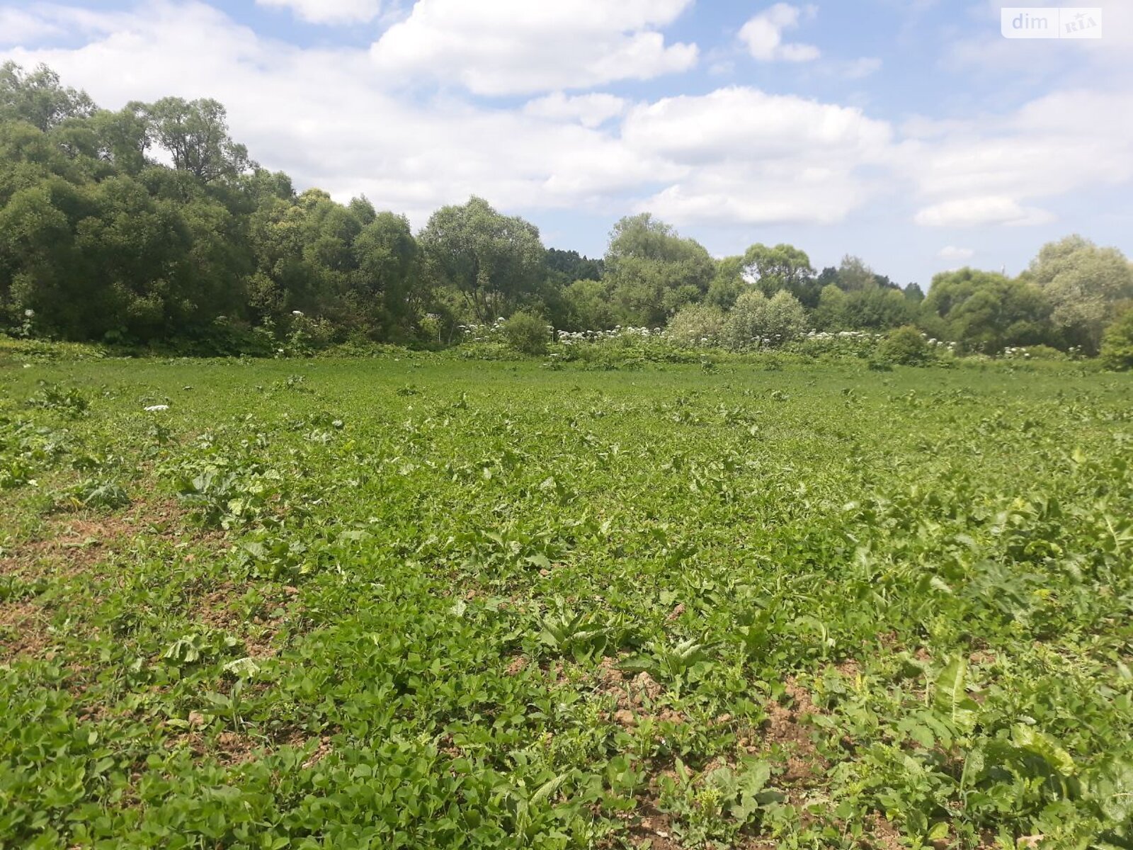 Аренда земли сельскохозяйственного назначения в Старых Богородчанах, цена: 1 158 грн за объект фото 1 Аренда земли сельскохозяйственного назначения в Старых Богородчанах, цена: 1 158 грн за объект фото 1