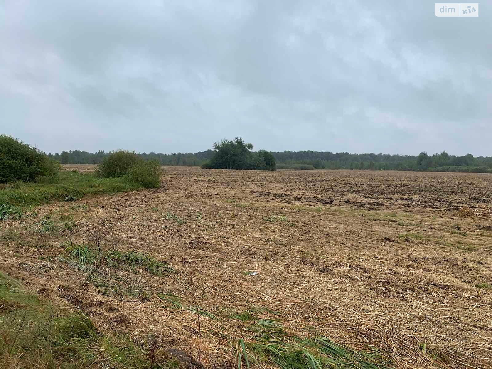 Оренда землі сільськогосподарського призначення в Старих Боровичах, ціна: 45 375 грн за об’єкт фото 1 Оренда землі сільськогосподарського призначення в Старих Боровичах, ціна: 45 375 грн за об’єкт фото 1