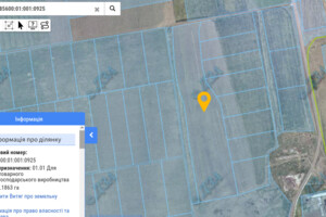 Оренда землі сільськогосподарського призначення в Старих Маяках, ціна: 35 799 грн за об’єкт фото 1