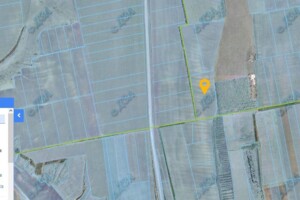 Оренда землі сільськогосподарського призначення в Старих Маяках, ціна: 25 412 грн за об’єкт фото 1