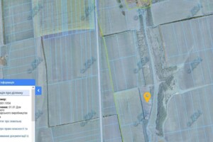 Аренда земли сельскохозяйственного назначения в Старых Маяках, цена: 29 529 грн за объект фото 1